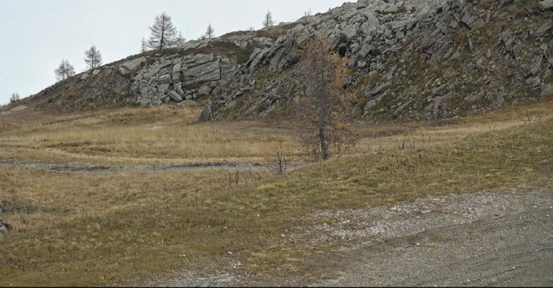 Webcam San Martino di Castrozza - Passo Rolle - Pista Tognola UNO