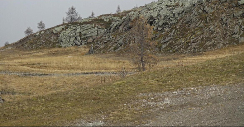 Webcam San Martino di Castrozza - Passo Rolle - Pista Tognola UNO