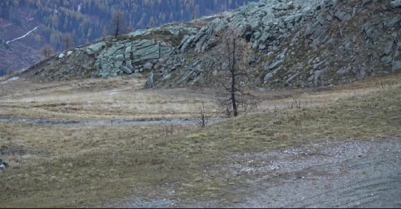 Webcam San Martino di Castrozza - Passo Rolle - Pista Tognola UNO