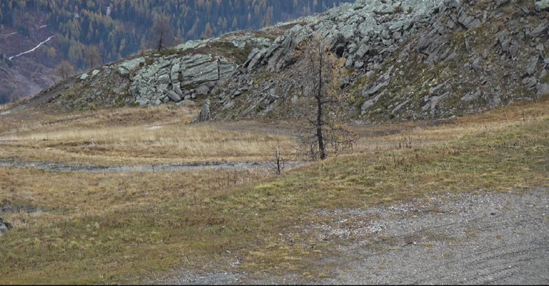 Webcam San Martino di Castrozza - Passo Rolle - Pista Tognola UNO