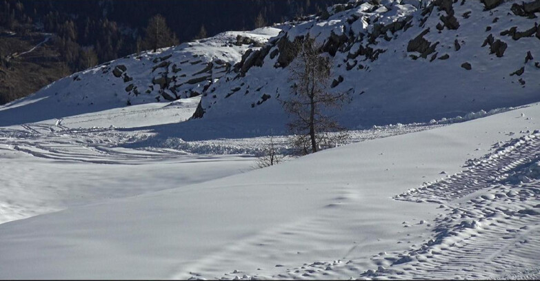 Webcam San Martino di Castrozza - Passo Rolle - Pista Tognola UNO