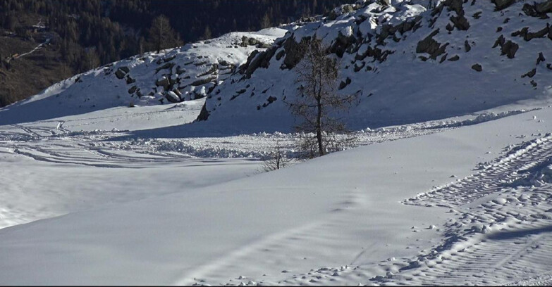 Webcam San Martino di Castrozza - Passo Rolle - Pista Tognola UNO