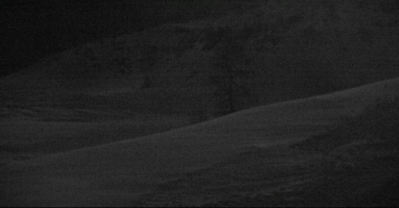 Webcam San Martino di Castrozza - Passo Rolle - Pista Tognola UNO