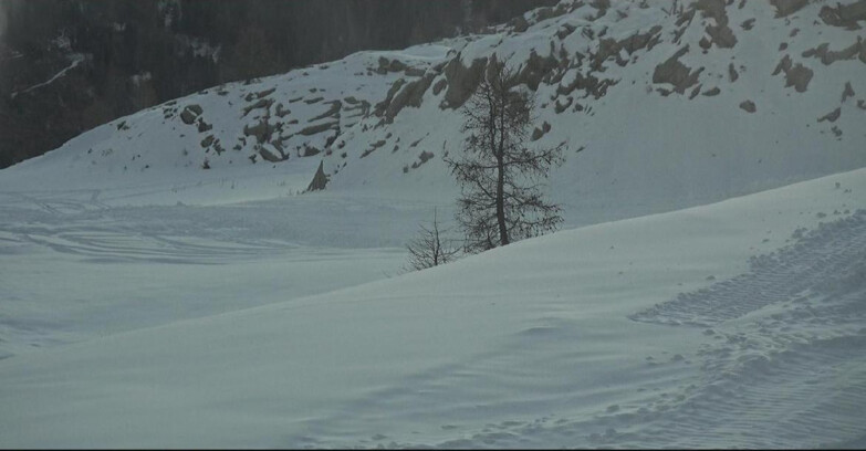 Webcam San Martino di Castrozza - Passo Rolle - Pista Tognola UNO