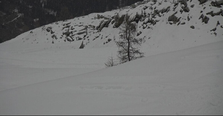 Webcam Сан-Мартино-ди-Кастроцца - Пассо-Ролле - Pista Tognola UNO