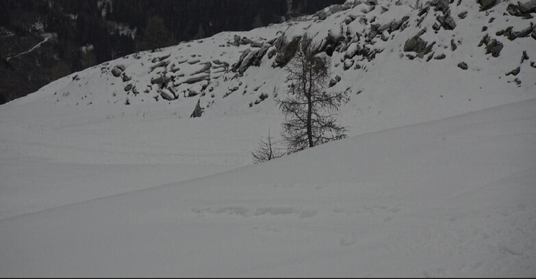 Webcam Сан-Мартино-ди-Кастроцца - Пассо-Ролле - Pista Tognola UNO