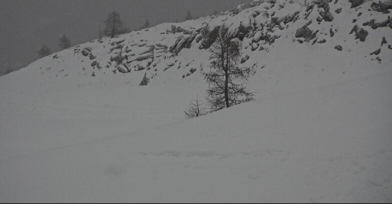 Webcam Сан-Мартино-ди-Кастроцца - Пассо-Ролле - Pista Tognola UNO