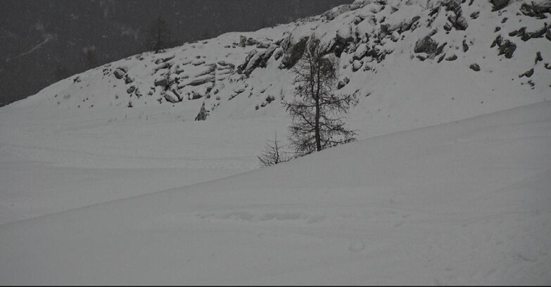 Webcam Сан-Мартино-ди-Кастроцца - Пассо-Ролле - Pista Tognola UNO