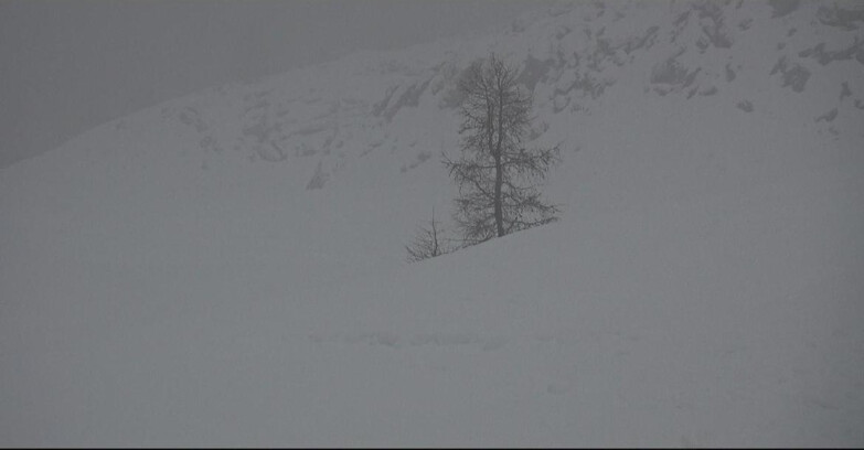 Webcam Сан-Мартино-ди-Кастроцца - Пассо-Ролле - Pista Tognola UNO