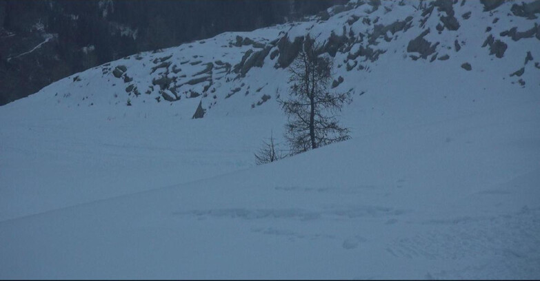 Webcam San Martino di Castrozza - Passo Rolle - Pista Tognola UNO