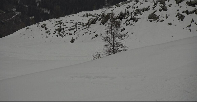 Webcam Сан-Мартино-ди-Кастроцца - Пассо-Ролле - Pista Tognola UNO