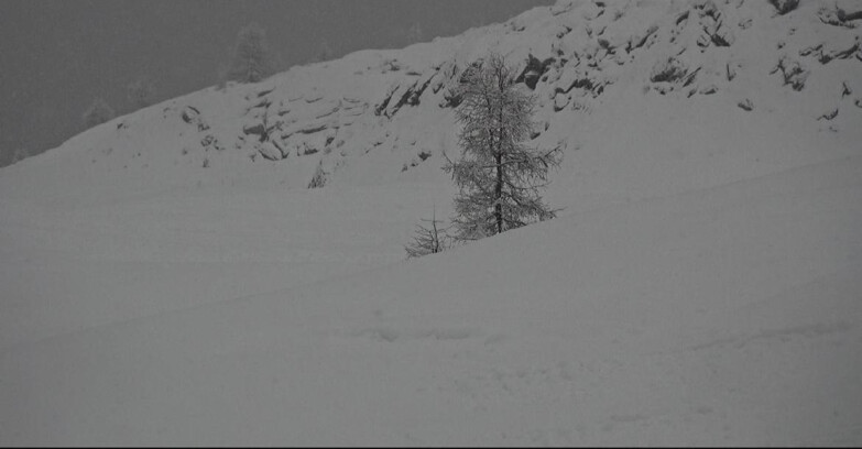 Webcam San Martino di Castrozza - Passo Rolle - Pista Tognola UNO