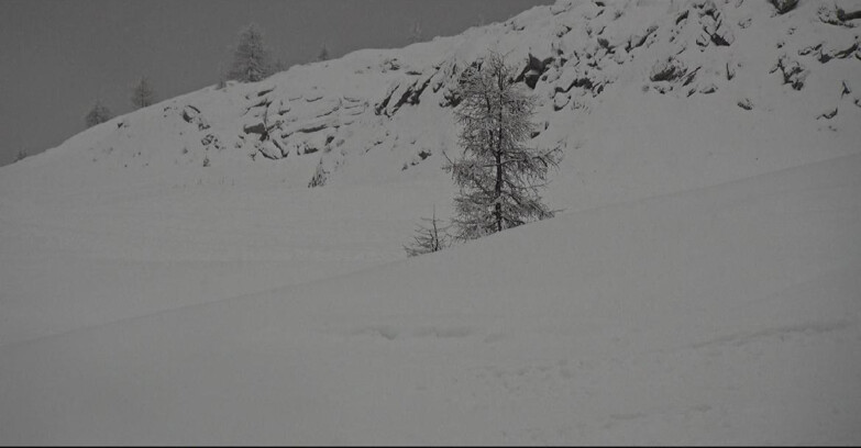 Webcam San Martino di Castrozza - Passo Rolle - Pista Tognola UNO