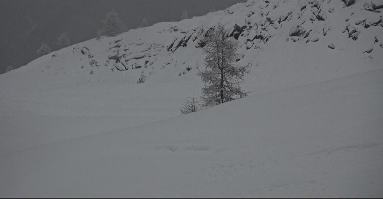 Webcam San Martino di Castrozza - Passo Rolle - Pista Tognola UNO
