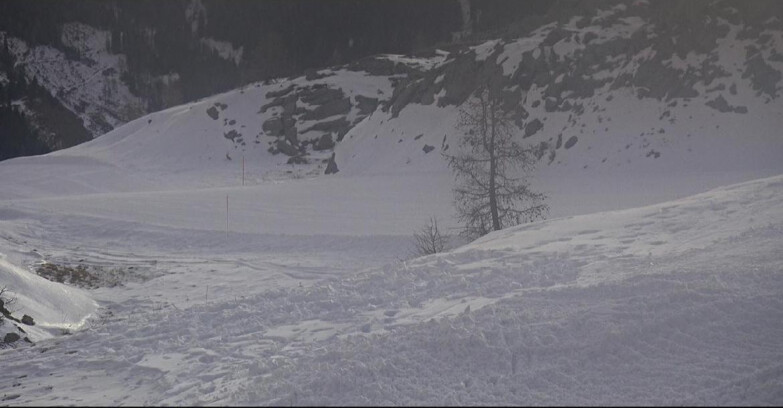 Webcam San Martino di Castrozza - Passo Rolle  - Pista Tognola UNO