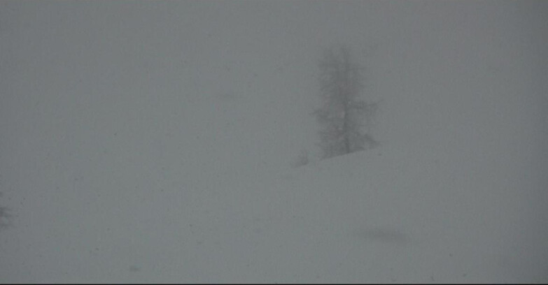 Webcam San Martino di Castrozza - Passo Rolle - Pista Tognola UNO