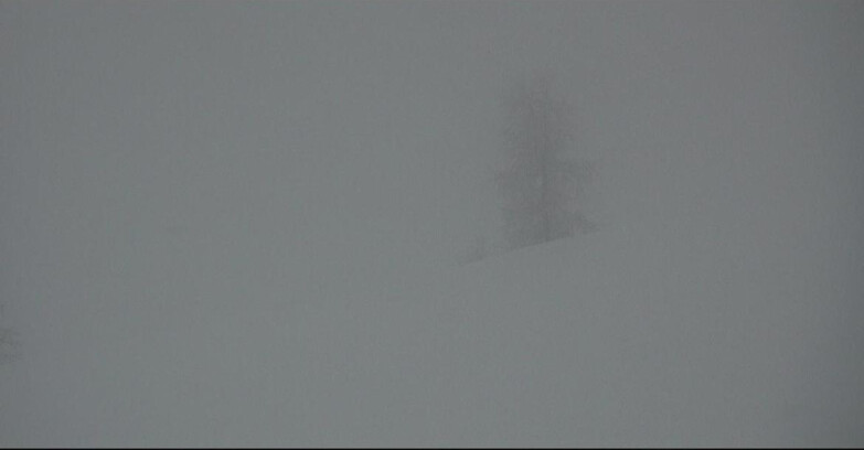 Webcam San Martino di Castrozza - Passo Rolle - Pista Tognola UNO