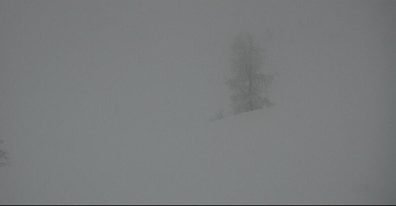 Webcam San Martino di Castrozza - Passo Rolle - Pista Tognola UNO