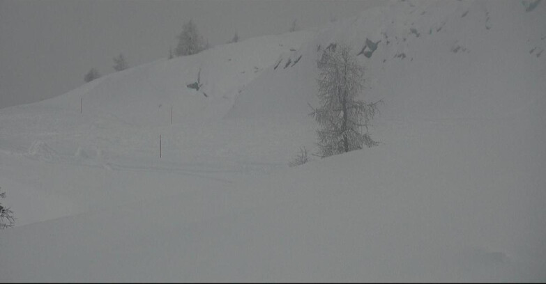 Webcam San Martino di Castrozza - Passo Rolle - Pista Tognola UNO