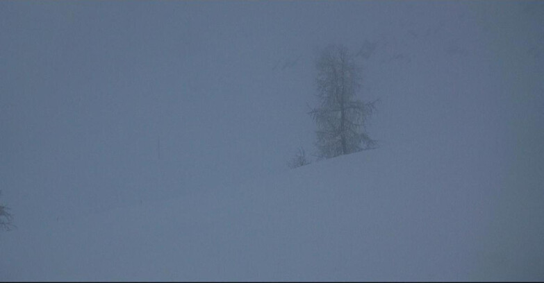 Webcam San Martino di Castrozza - Passo Rolle - Pista Tognola UNO