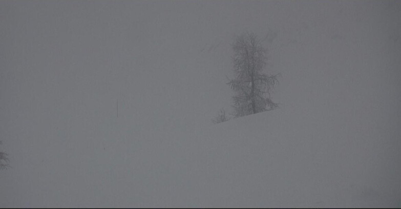 Webcam San Martino di Castrozza - Passo Rolle - Pista Tognola UNO