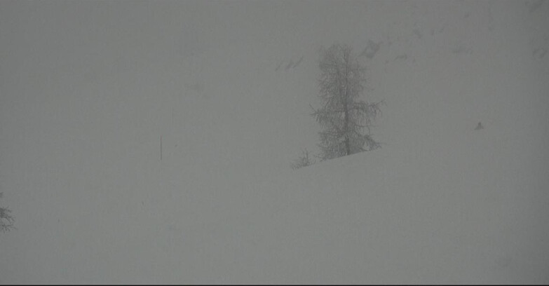 Webcam San Martino di Castrozza - Passo Rolle - Pista Tognola UNO