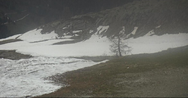 Webcam San Martino di Castrozza - Passo Rolle - Pista Tognola UNO