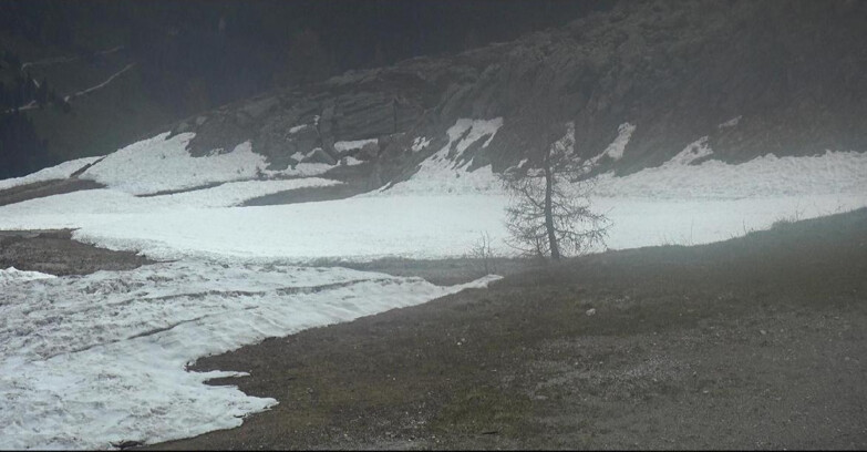 Webcam San Martino di Castrozza - Passo Rolle - Pista Tognola UNO