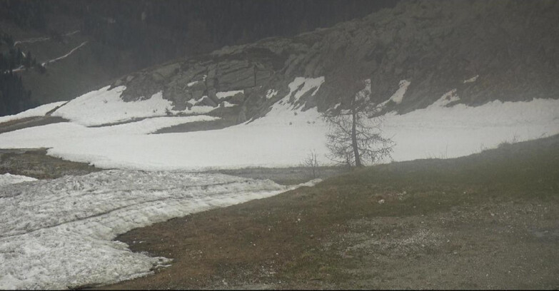 Webcam San Martino di Castrozza - Passo Rolle - Pista Tognola UNO