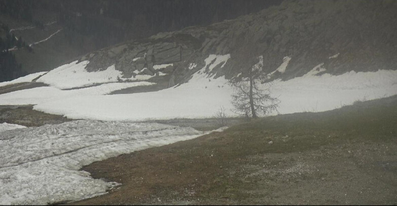 Webcam San Martino di Castrozza - Passo Rolle - Pista Tognola UNO