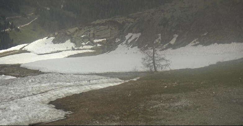Webcam San Martino di Castrozza - Passo Rolle - Pista Tognola UNO
