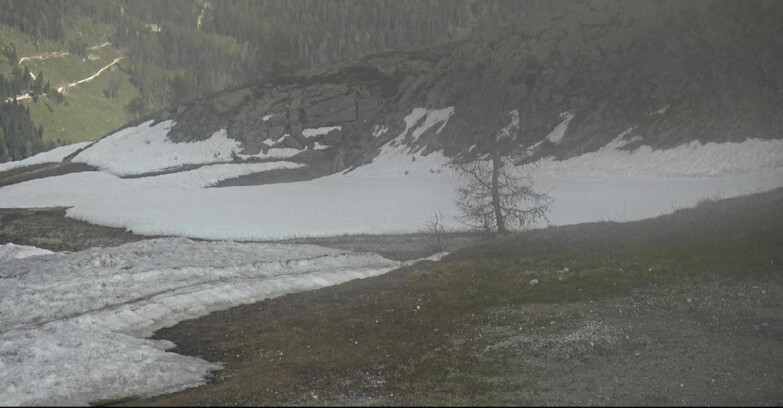 Webcam San Martino di Castrozza - Passo Rolle - Pista Tognola UNO