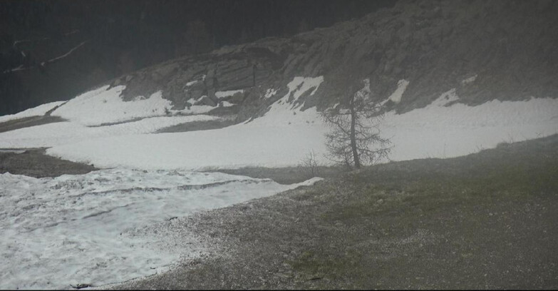 Webcam San Martino di Castrozza - Passo Rolle - Pista Tognola UNO