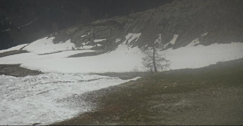 Webcam San Martino di Castrozza - Passo Rolle - Pista Tognola UNO