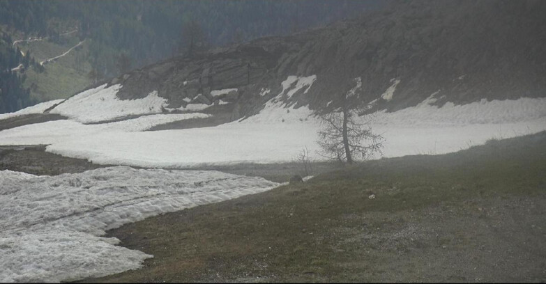 Webcam San Martino di Castrozza - Passo Rolle - Pista Tognola UNO