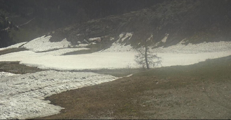 Webcam San Martino di Castrozza - Passo Rolle - Pista Tognola UNO