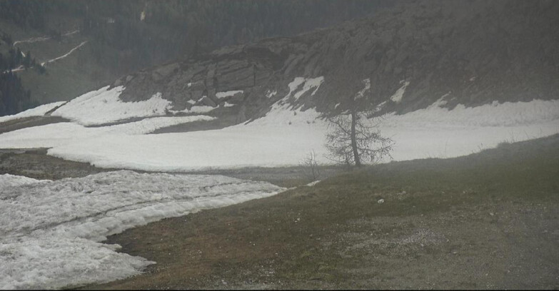 Webcam San Martino di Castrozza - Passo Rolle - Pista Tognola UNO