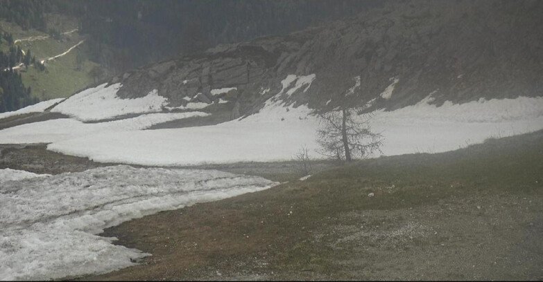 Webcam San Martino di Castrozza - Passo Rolle - Pista Tognola UNO