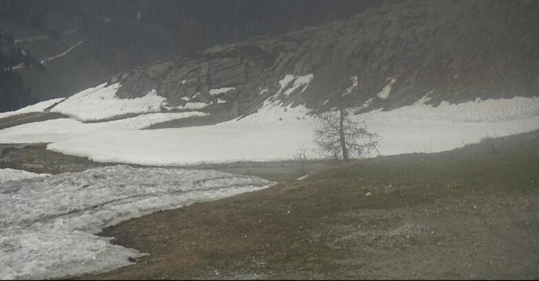Webcam San Martino di Castrozza - Passo Rolle  - Pista Tognola UNO