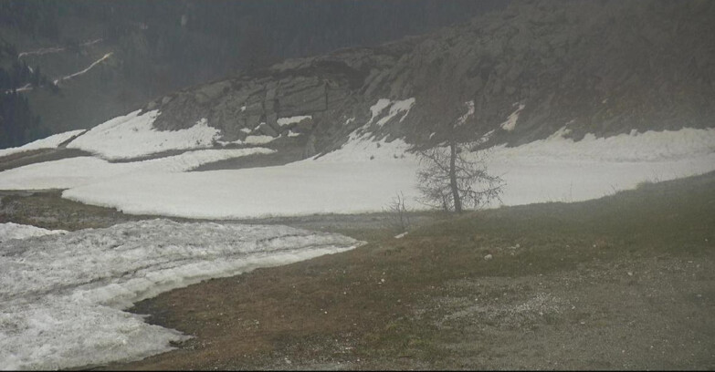 Webcam San Martino di Castrozza - Passo Rolle  - Pista Tognola UNO