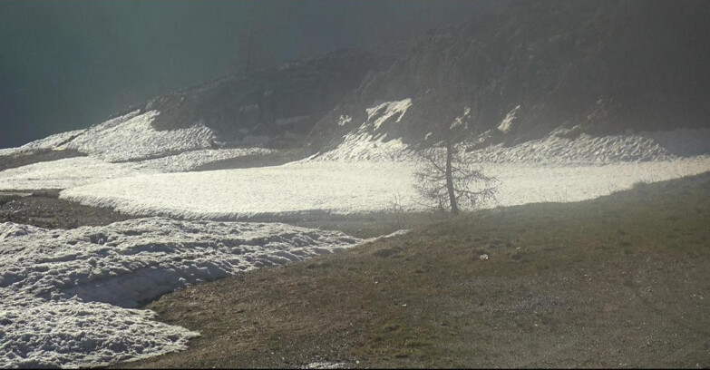 Webcam San Martino di Castrozza - Passo Rolle - Pista Tognola UNO