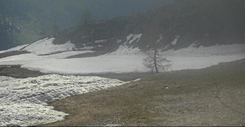 Webcam San Martino di Castrozza - Passo Rolle - Pista Tognola UNO