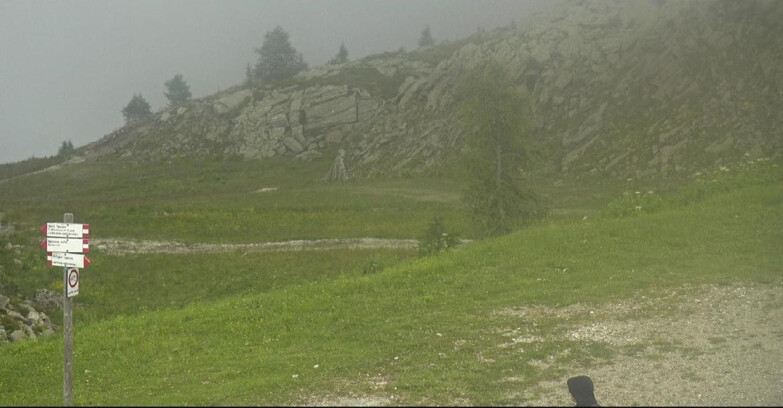 Webcam San Martino di Castrozza - Passo Rolle - Pista Tognola UNO