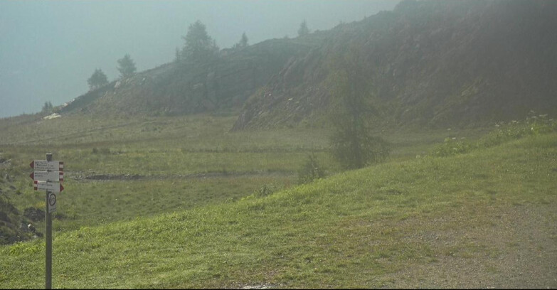 Webcam San Martino di Castrozza - Passo Rolle - Pista Tognola UNO