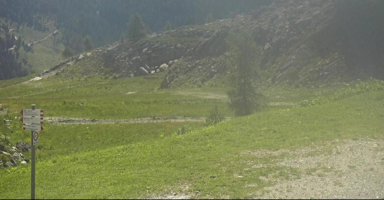 Webcam San Martino di Castrozza - Passo Rolle - Pista Tognola UNO
