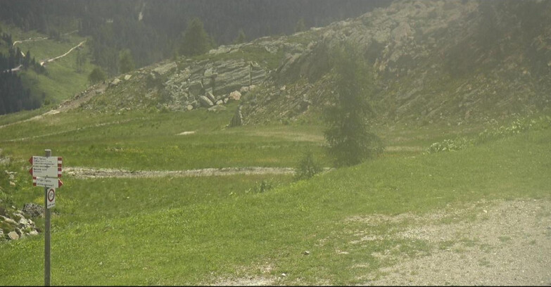 Webcam San Martino di Castrozza - Passo Rolle - Pista Tognola UNO