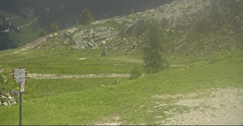 Webcam San Martino di Castrozza - Passo Rolle - Pista Tognola UNO