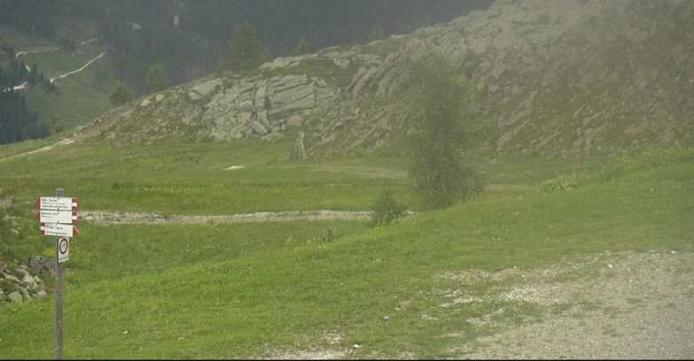 Webcam San Martino di Castrozza - Passo Rolle - Pista Tognola UNO