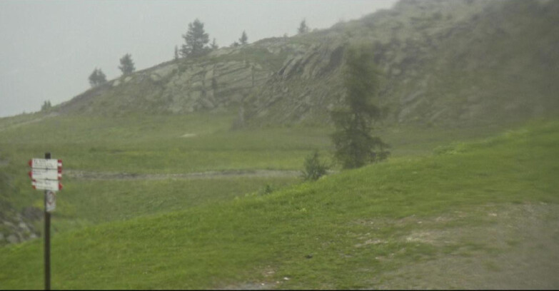 Webcam San Martino di Castrozza - Passo Rolle - Pista Tognola UNO
