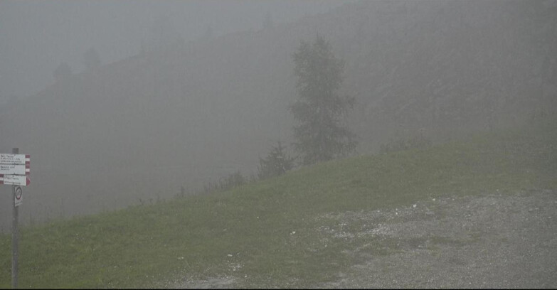 Webcam San Martino di Castrozza - Passo Rolle - Pista Tognola UNO
